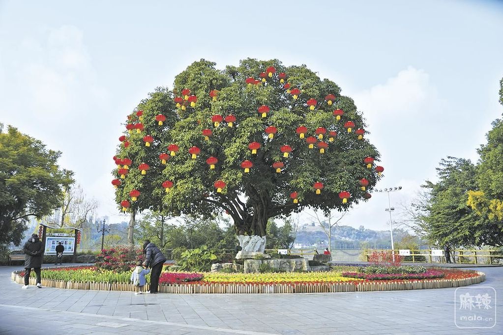 66c659c9-47f3-445c-bb70-e581842e1b19.tif.2