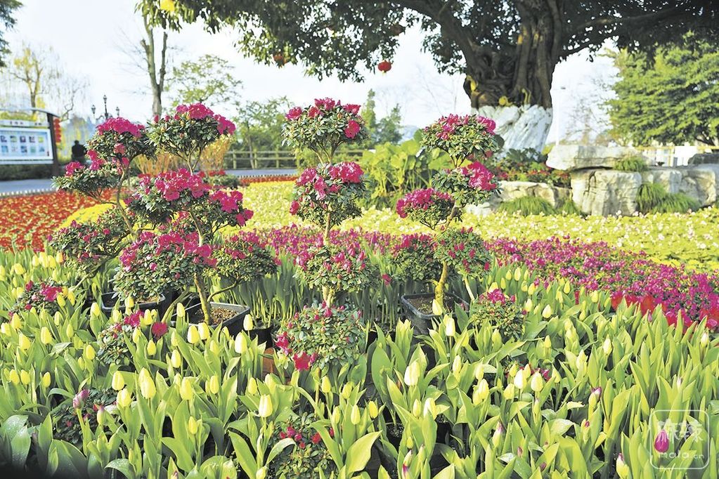 f9a58e74-b8fd-448a-a550-9f8191373689.tif.2