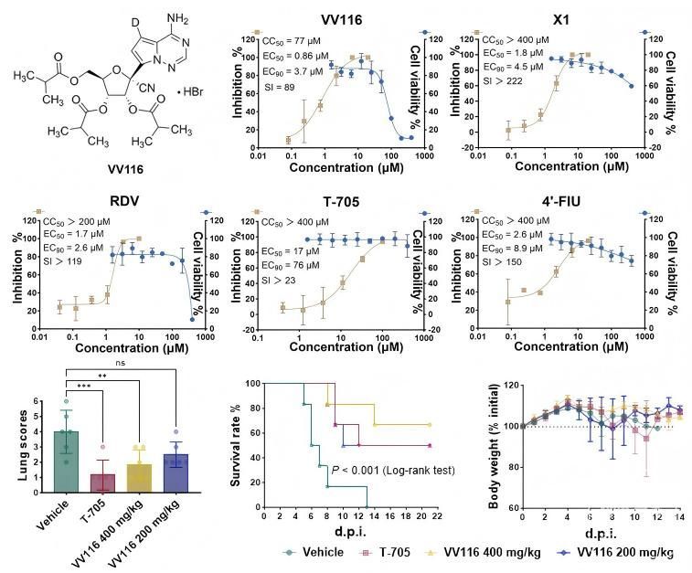 3b292df5e0fe9925d0b462a8ff957ace8cb17158.jpeg@f_auto