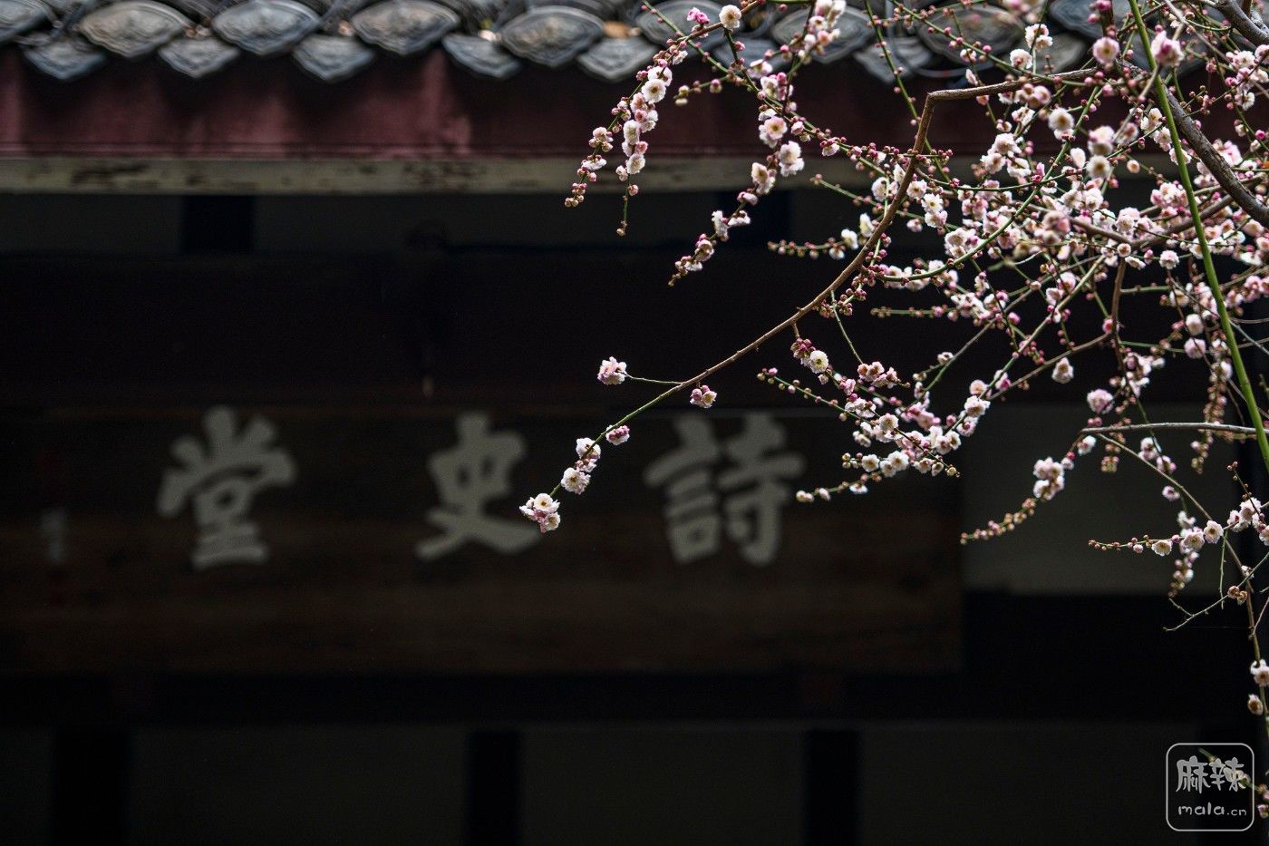 DSC_1288 ����.jpg