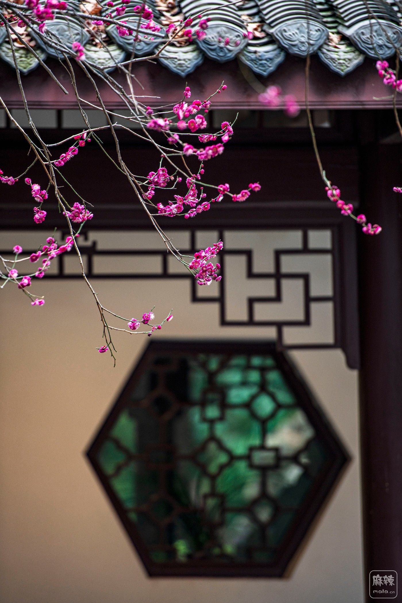 DSC_1238 ����.jpg