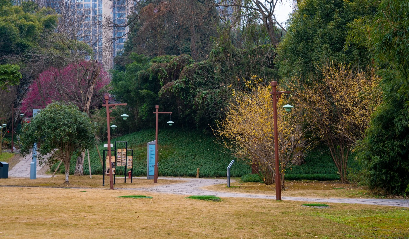 DSC09833 ����.jpg