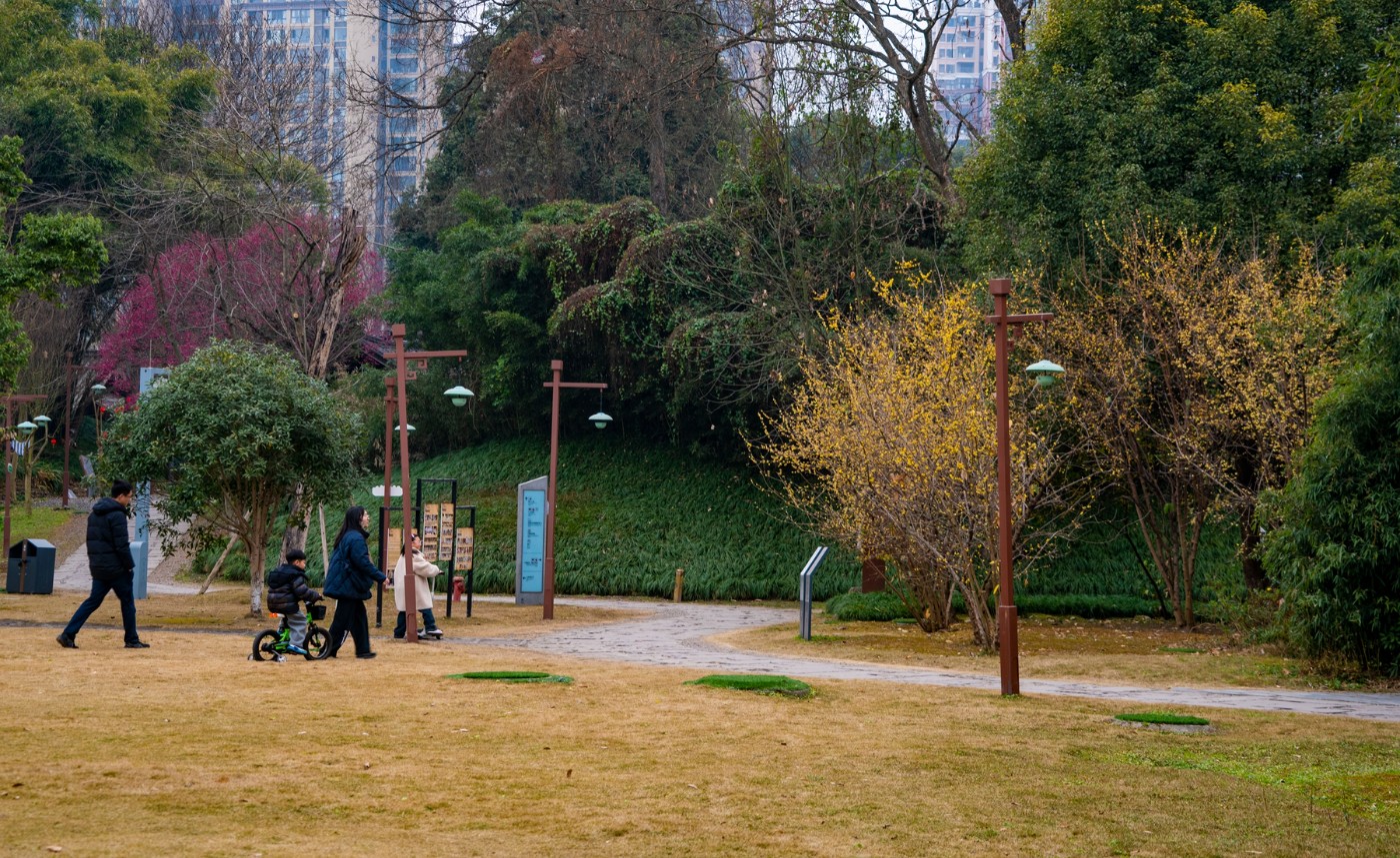 DSC09834 ����.jpg