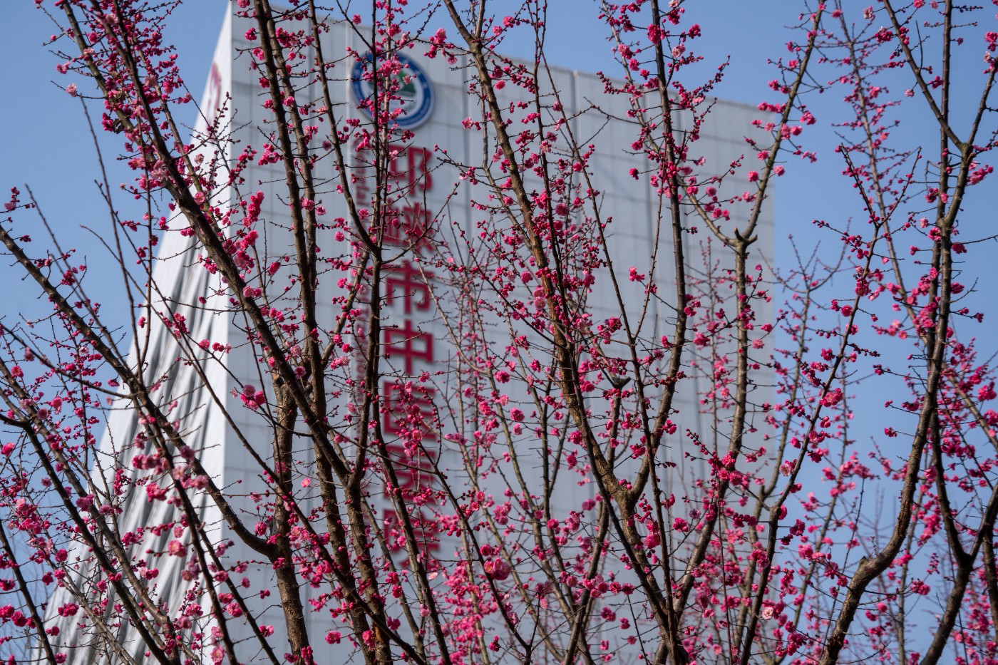 DSC09897 ����.jpg