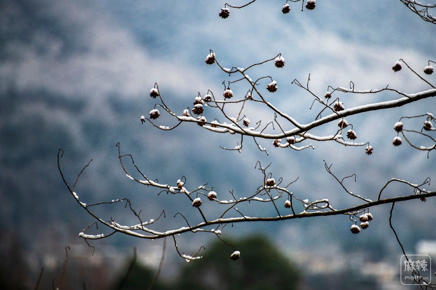 DSC_0475 ����.jpg