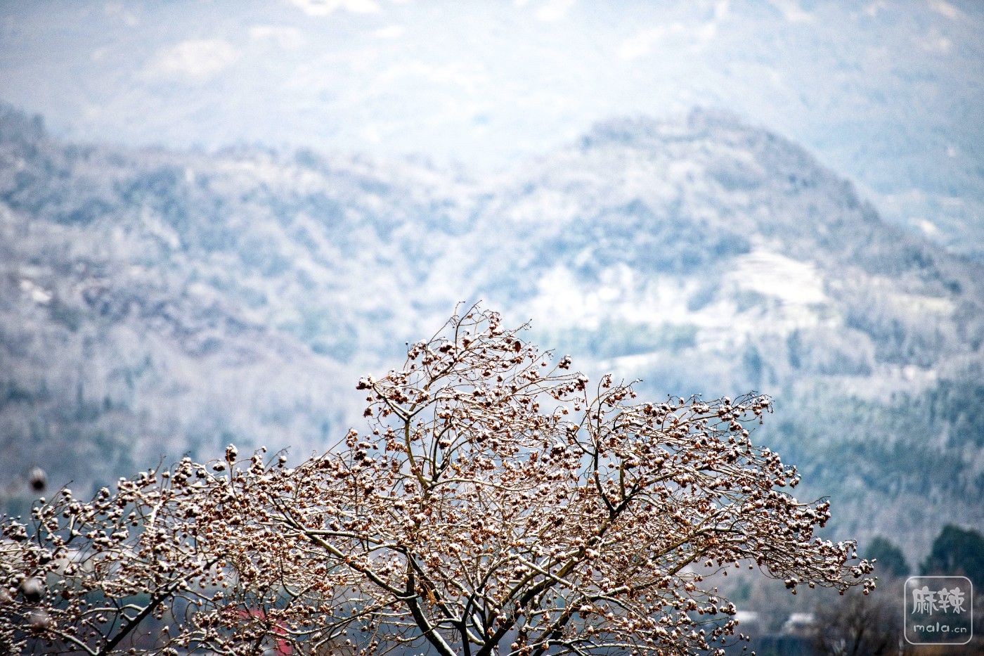 DSC_0465 ����.jpg