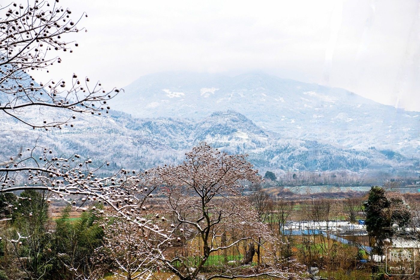 DSC_0460 ����.jpg