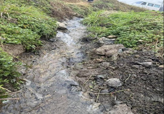 2025��12��17�գ��Ѷ���Ⱦˮ������������