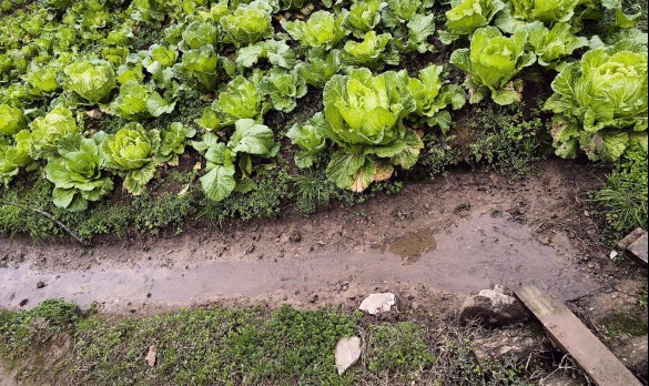 2026��1��4�գ��������ˮ��