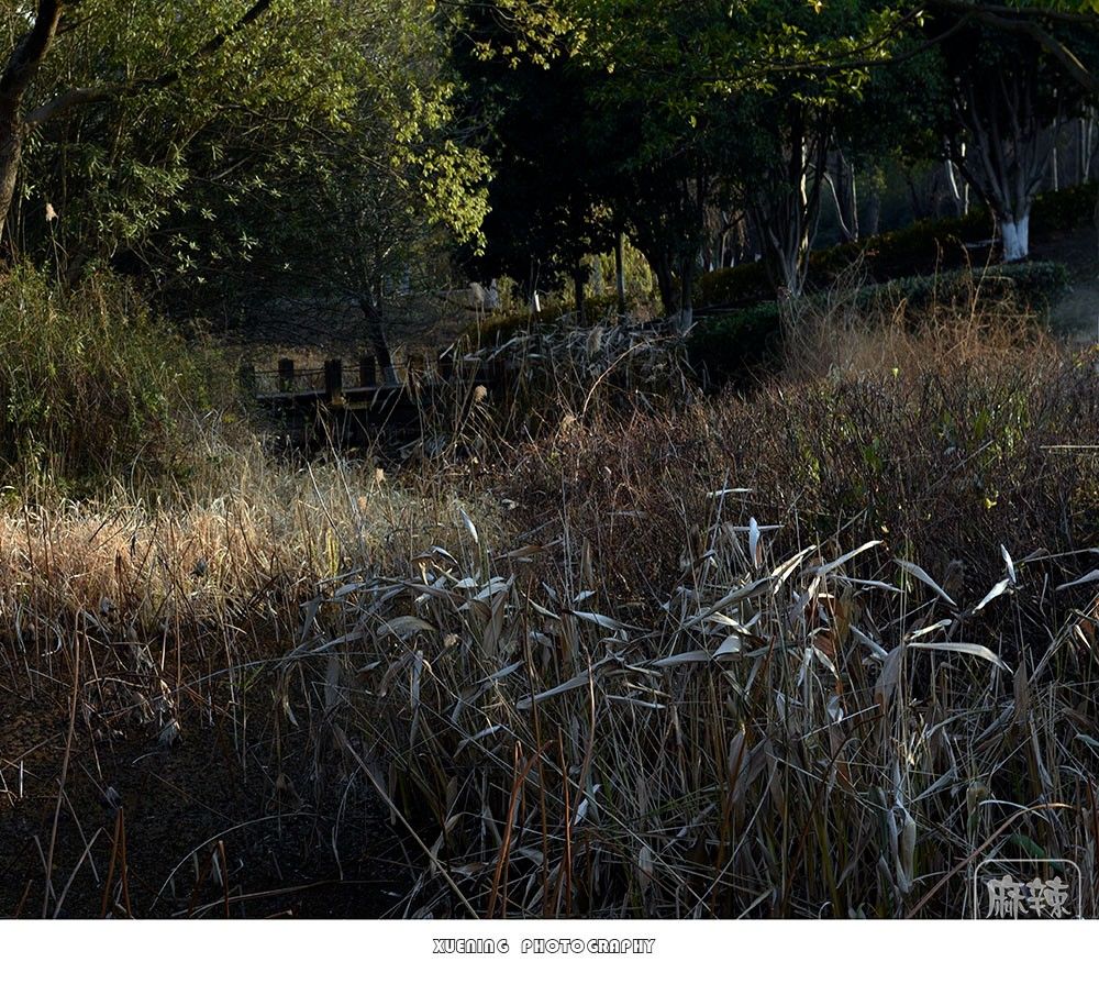 _DSC1321 ����.jpg