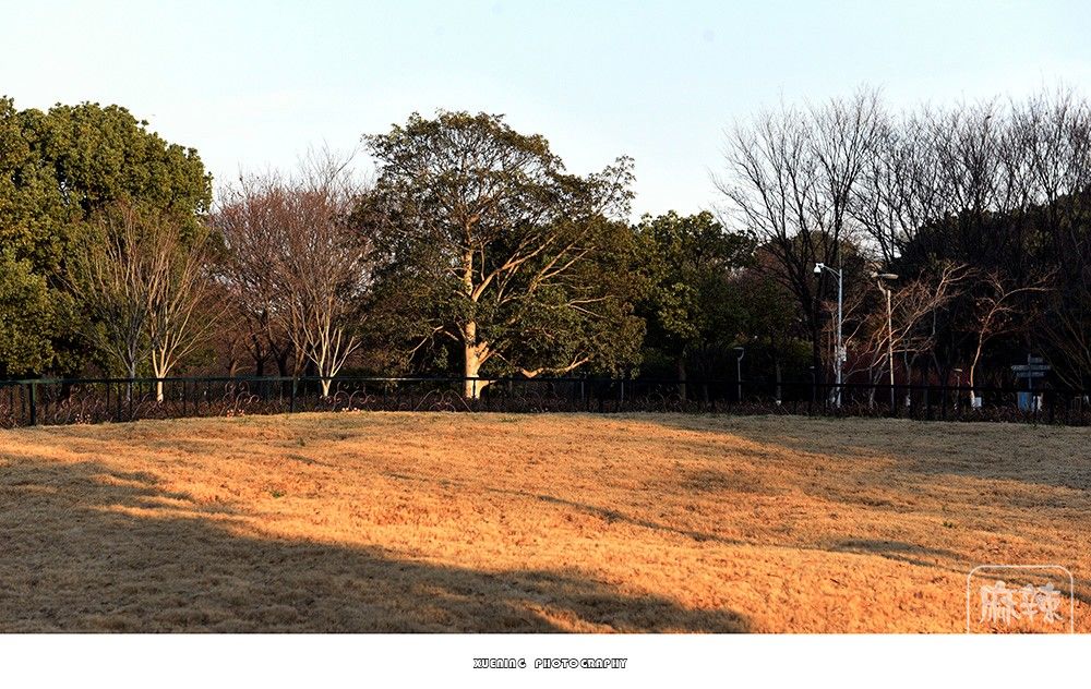 _DSC1339 ����.jpg