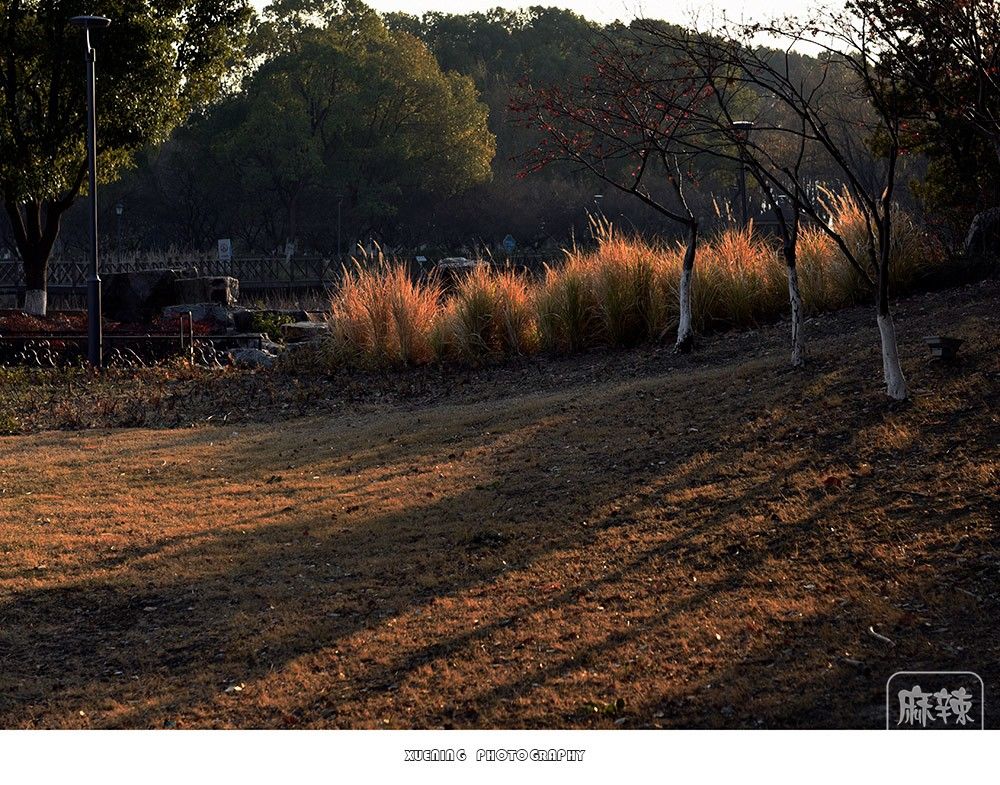 _DSC1342 ����.jpg