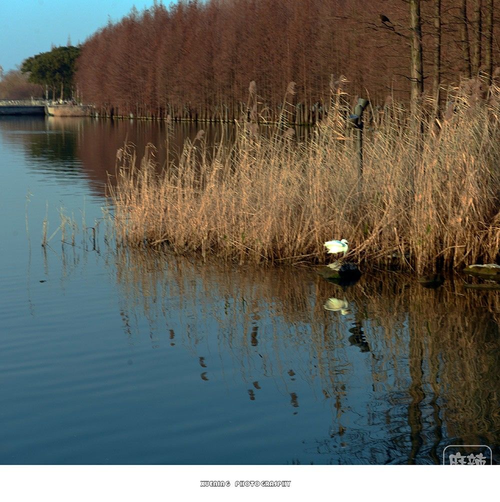 _DSC1361 ����.jpg