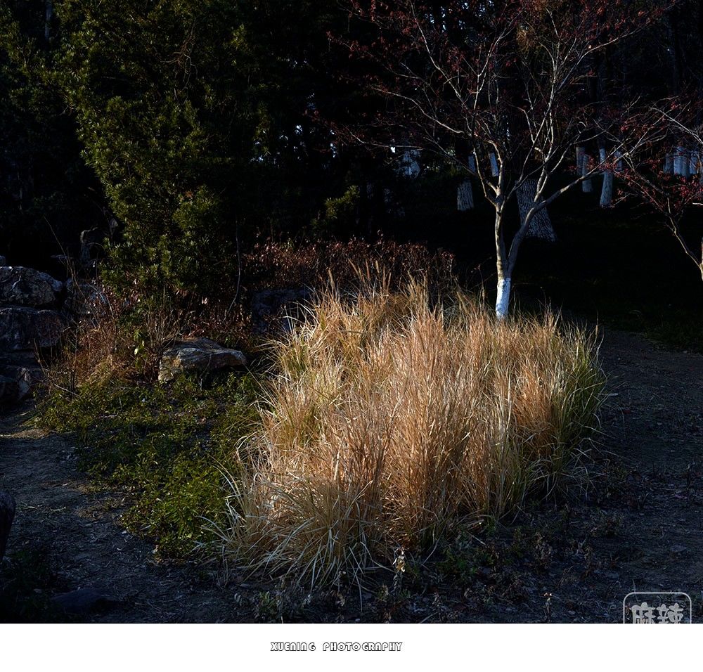 _DSC1344 ����.jpg