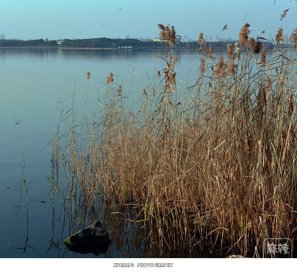 _DSC1376 ����.jpg