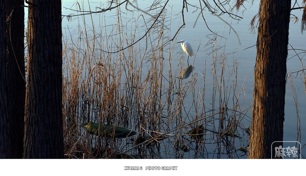 _DSC1369 ����.jpg