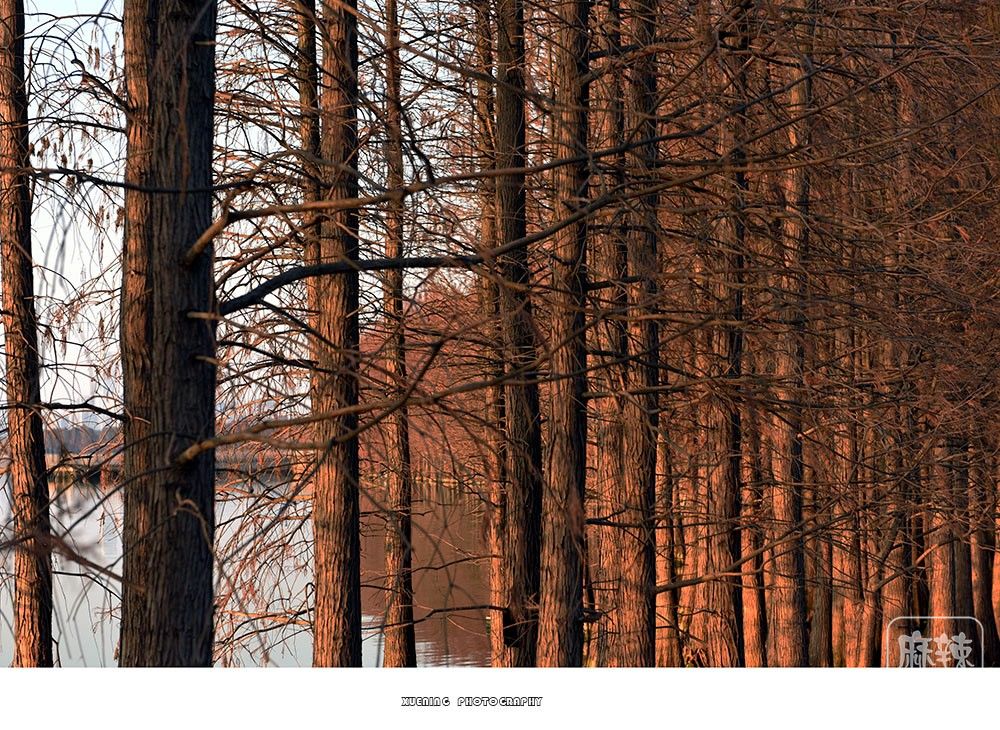 _DSC1373 ����.jpg