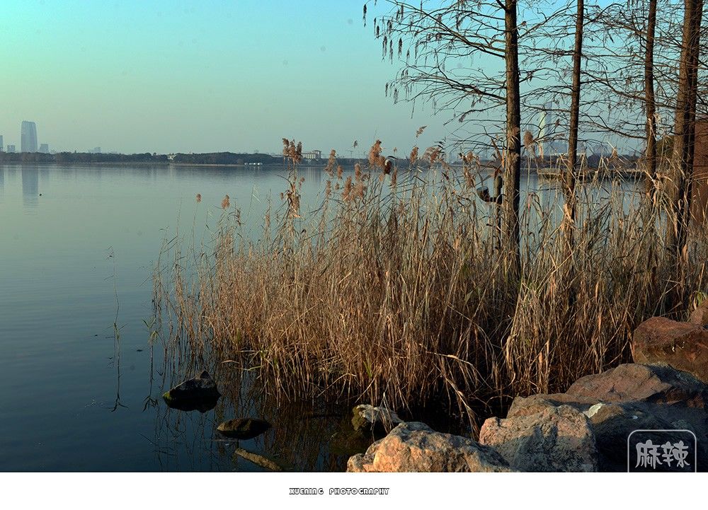 _DSC1367 ����.jpg