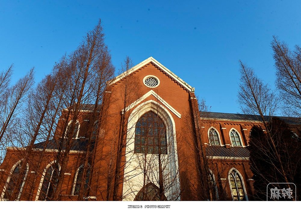 _DSC1381 ����.jpg