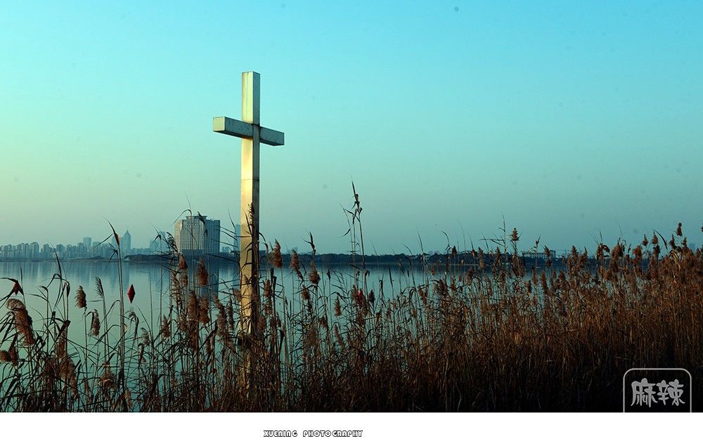 _DSC1392 ����.jpg