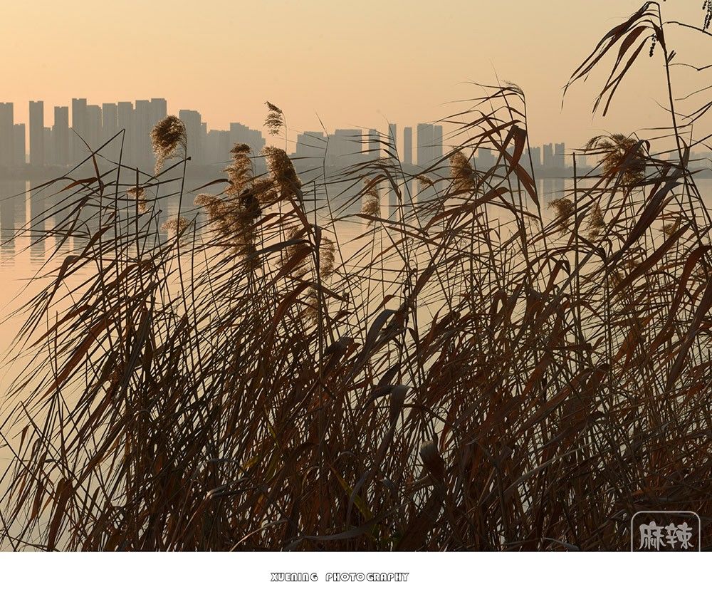 _DSC1375 ����.jpg