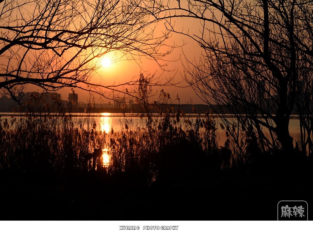 _DSC1404 ����.jpg