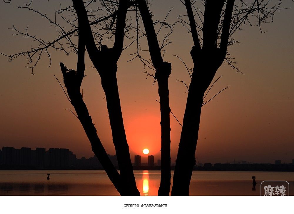 _DSC1411 ����.jpg