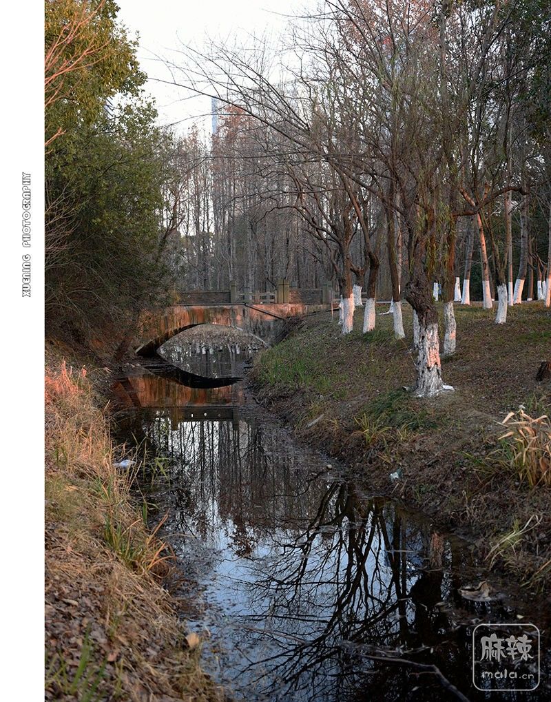 _DSC1401 ����.jpg