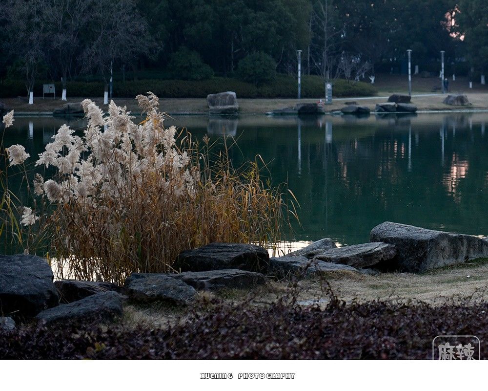 _DSC1446 ����.jpg