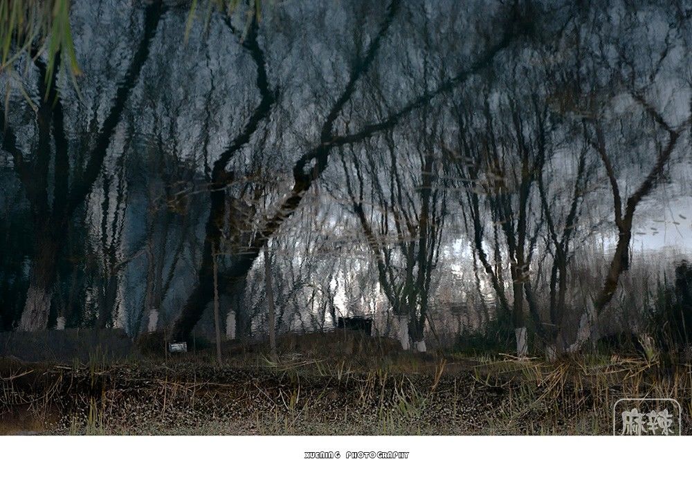 _DSC1440 ����.jpg