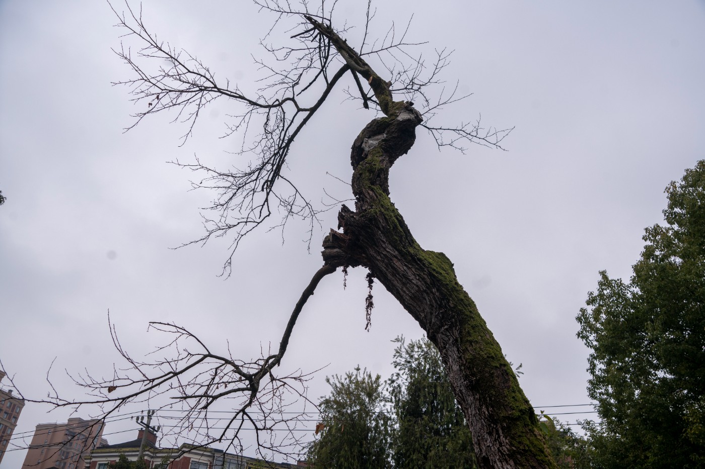 DSC09816 ����.jpg