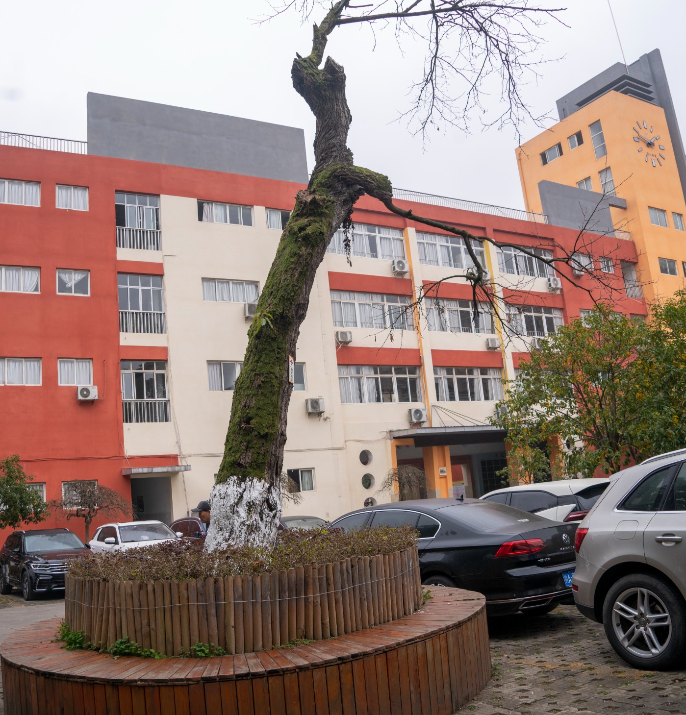 DSC09802 ����.jpg