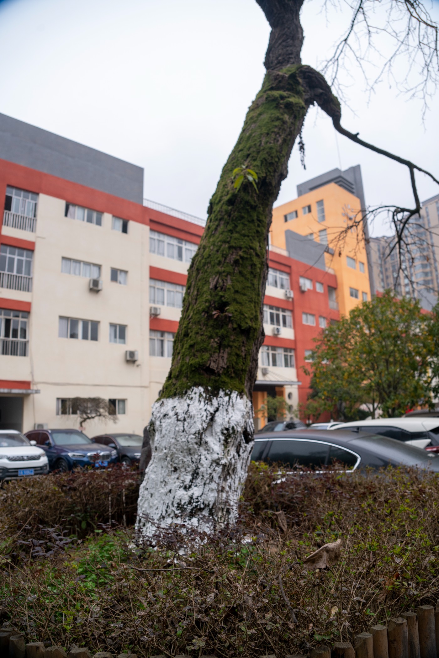 DSC09800 ����.jpg