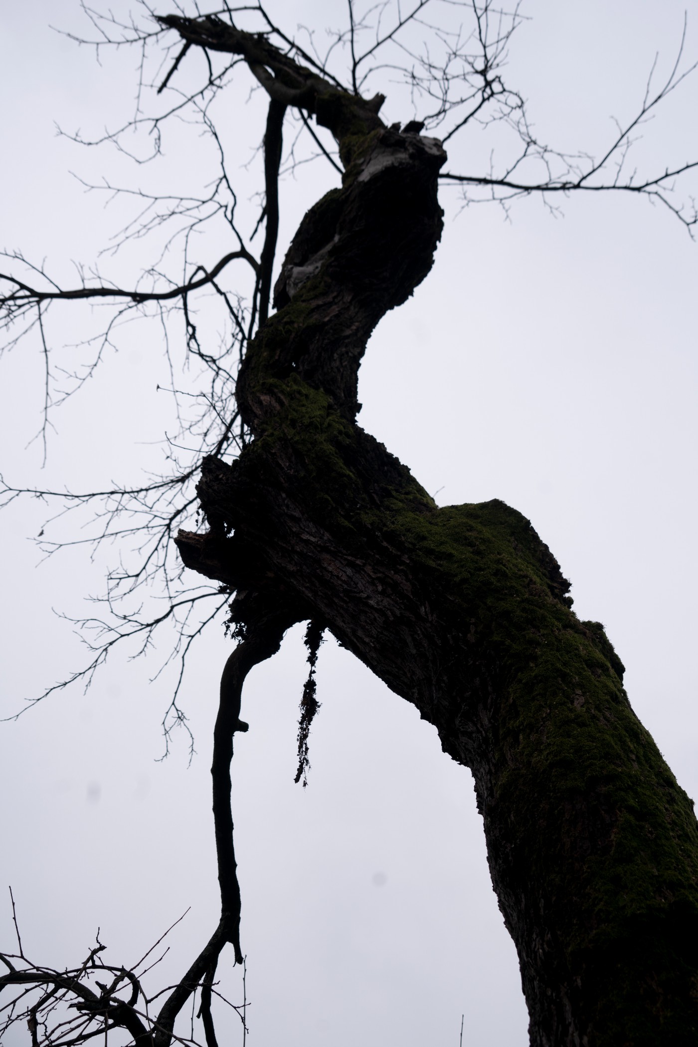 DSC09807 ����.jpg