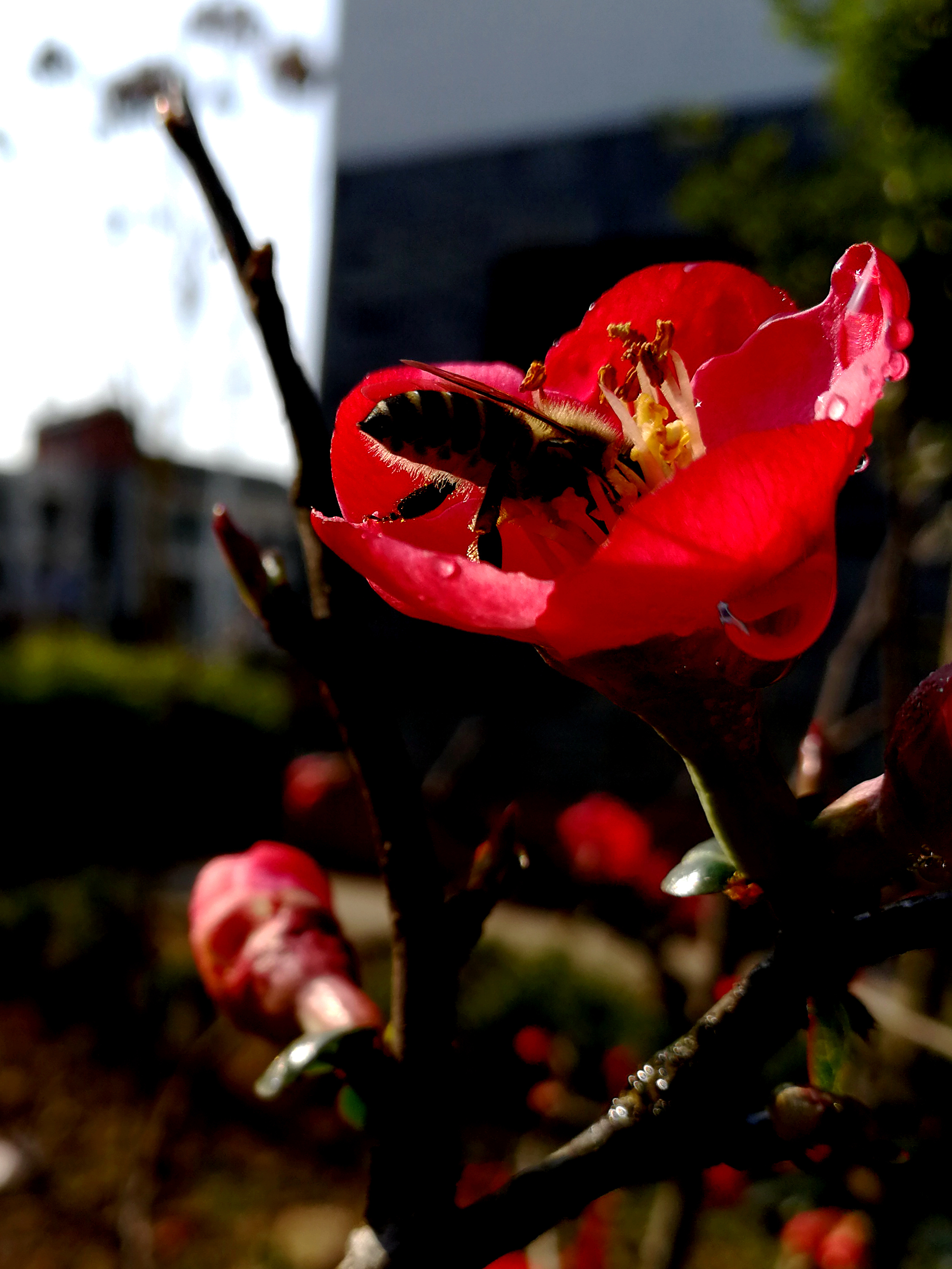 �̷ʺ��� (2)_����.jpg