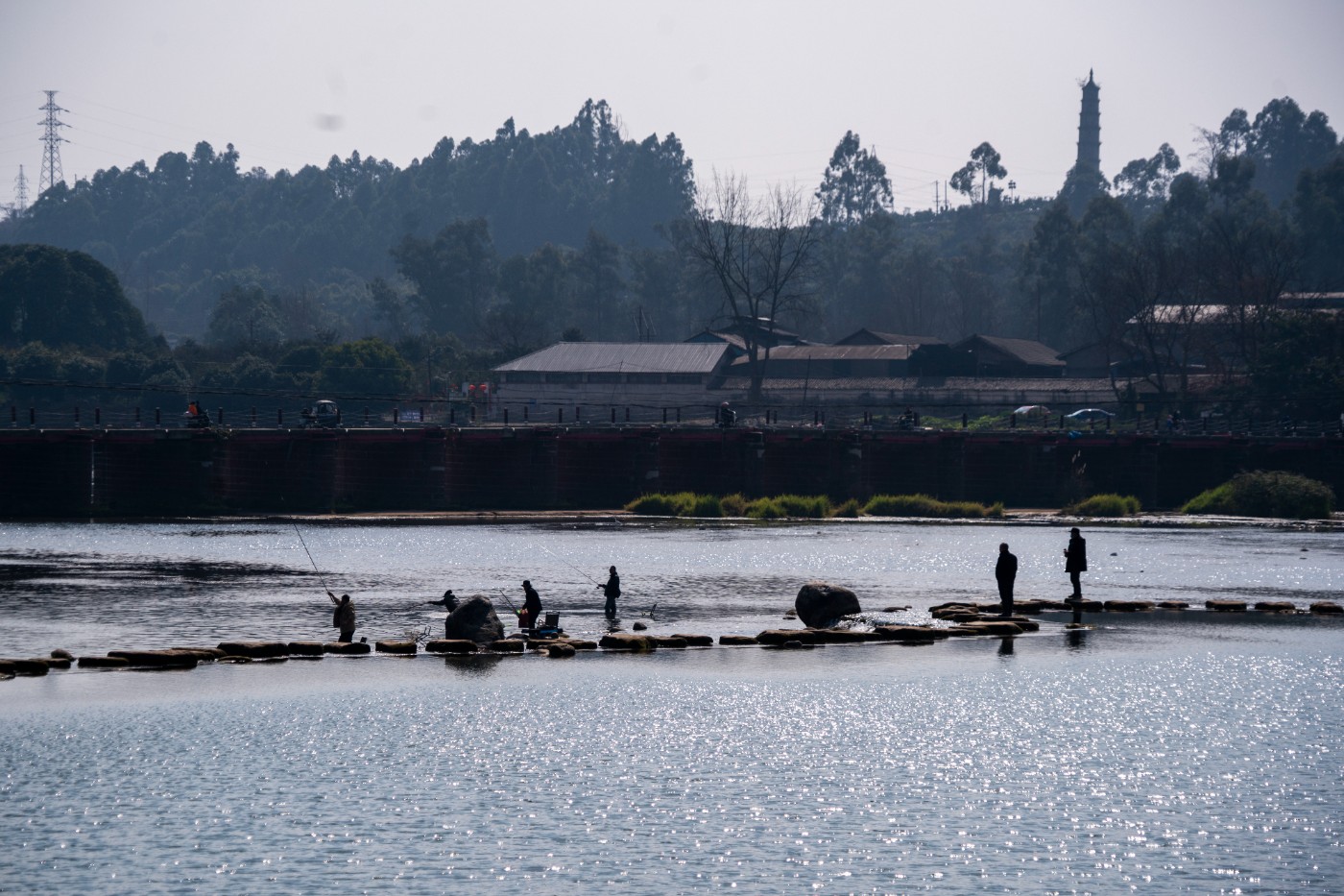 DSC00087 ����.jpg