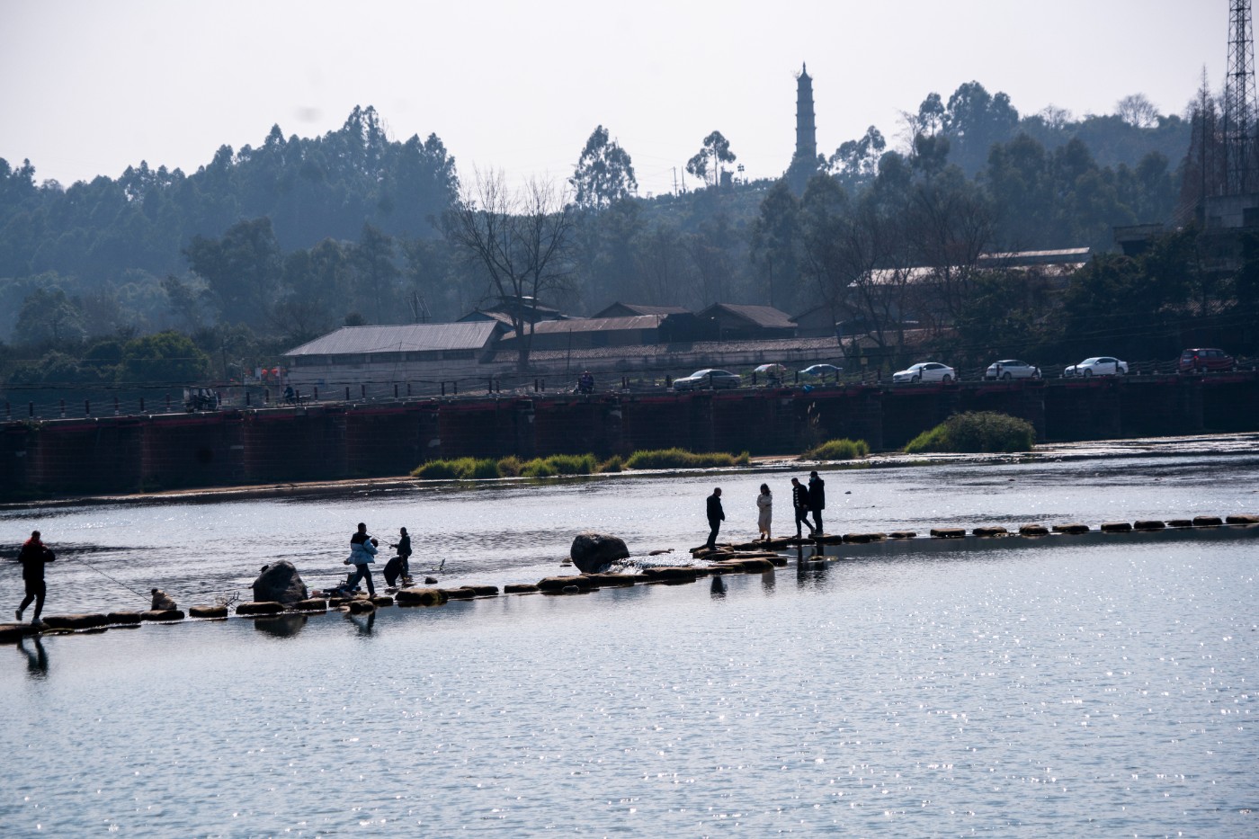 DSC00093 ����.jpg