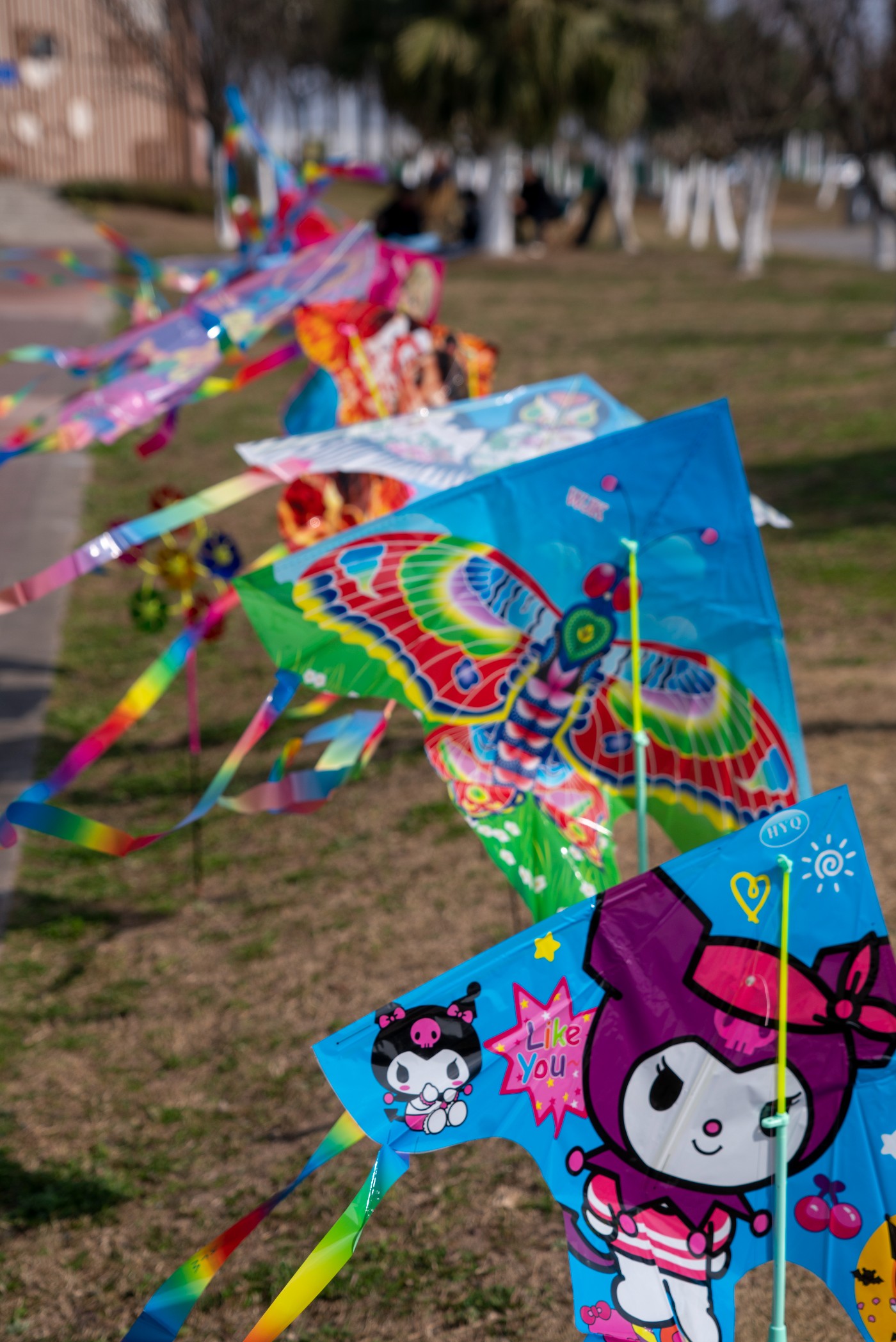 DSC00097 ����.jpg