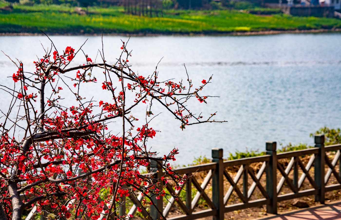 DSC00100 ����.jpg