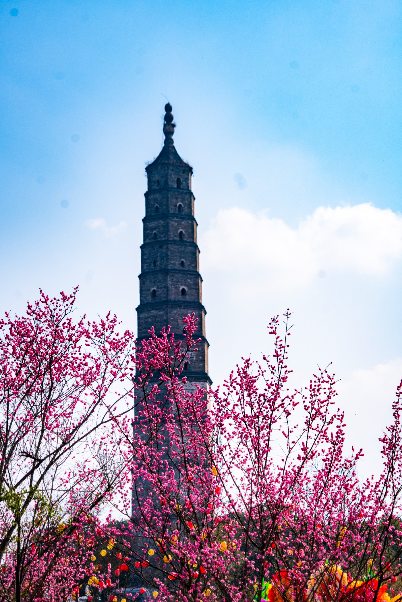 DSC00110 ����.jpg