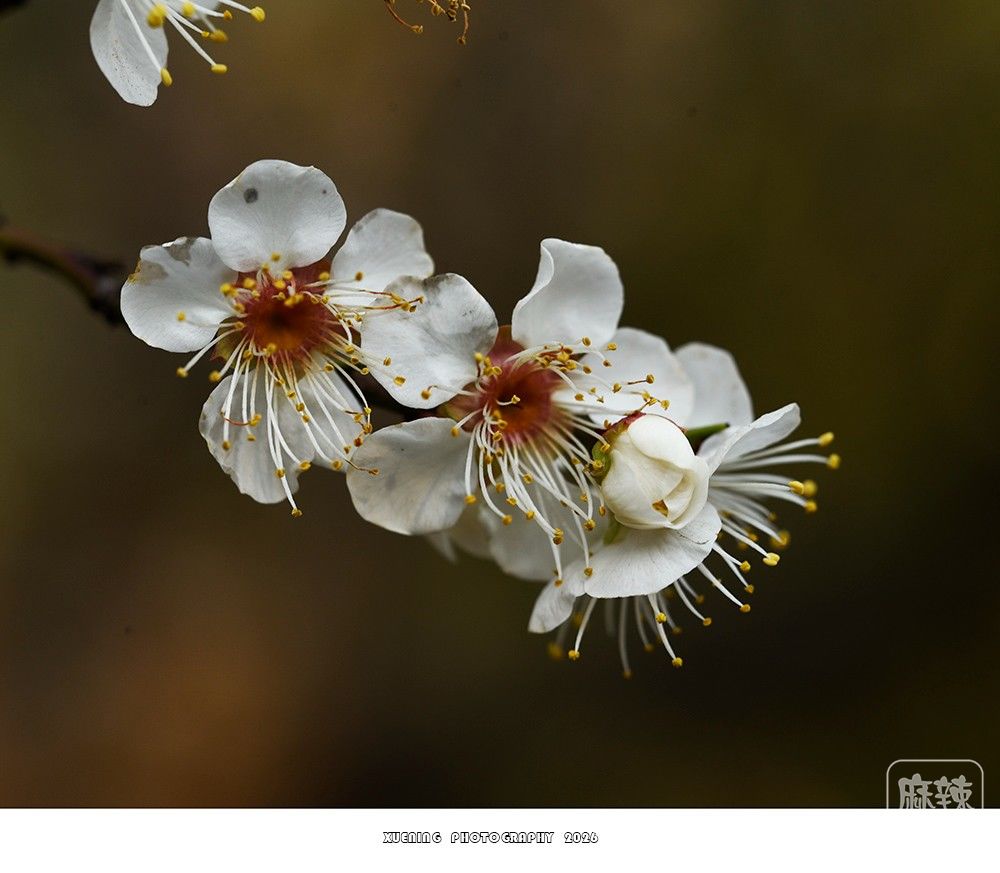 _DSC1804 ����.jpg