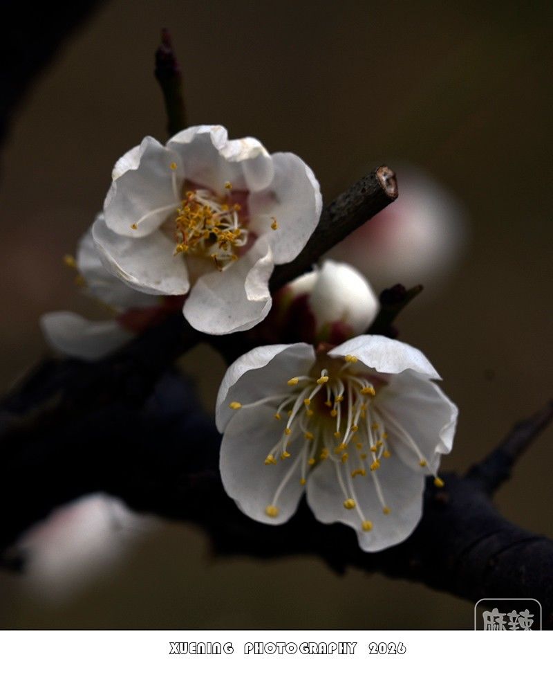 _DSC1828 ����.jpg