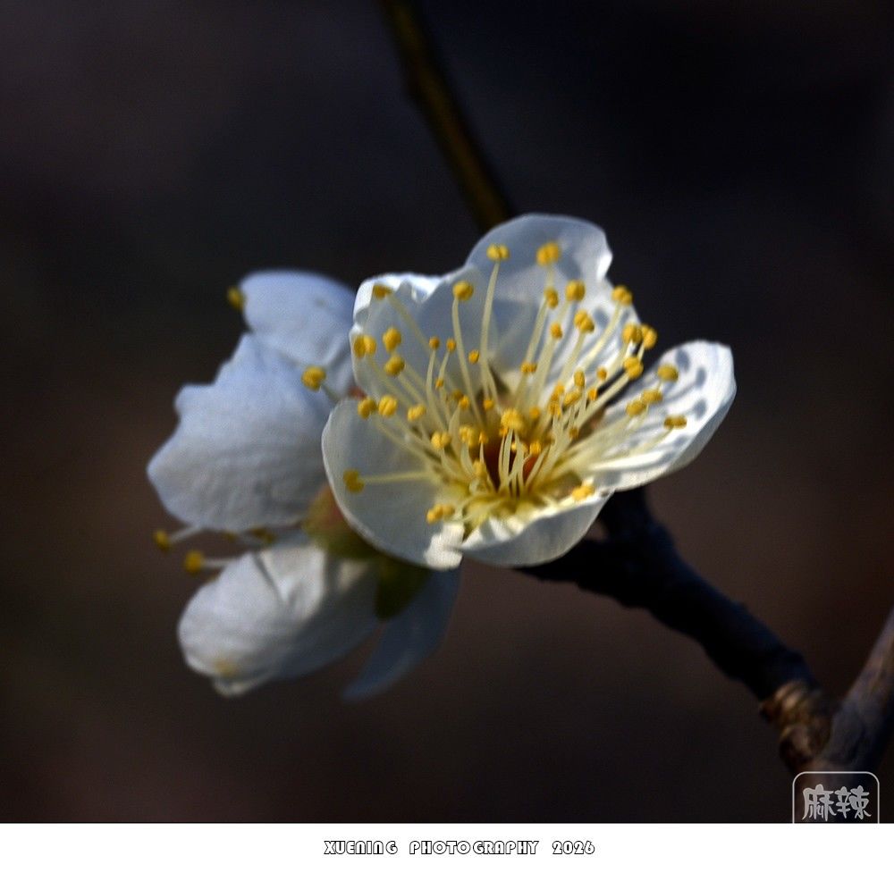 _DSC1845 ����.jpg