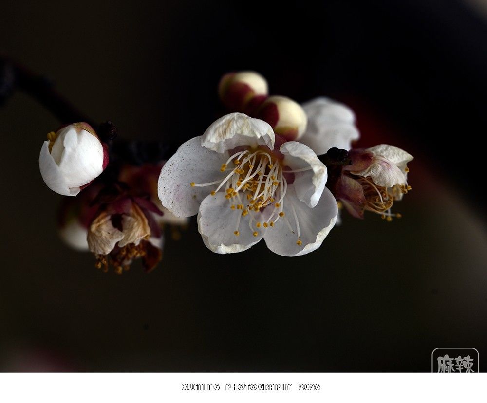 _DSC1827 ����.jpg