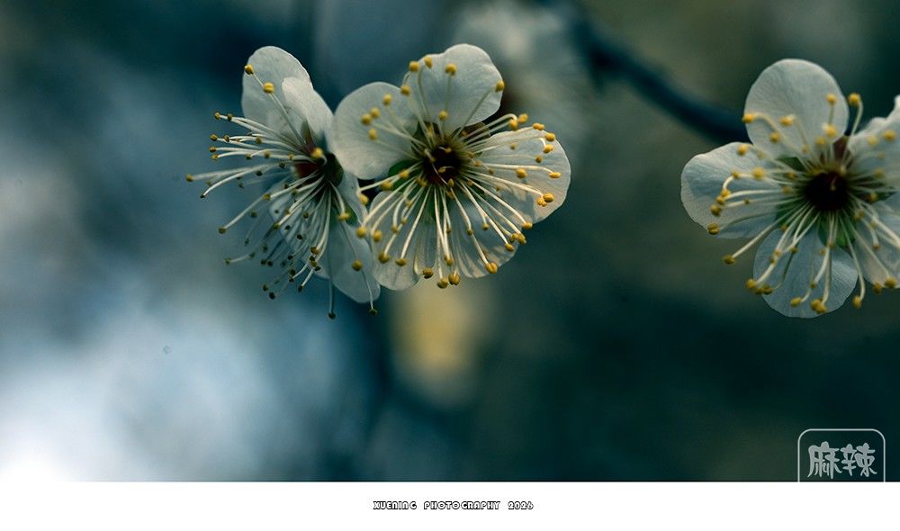 _DSC1802 ����.jpg