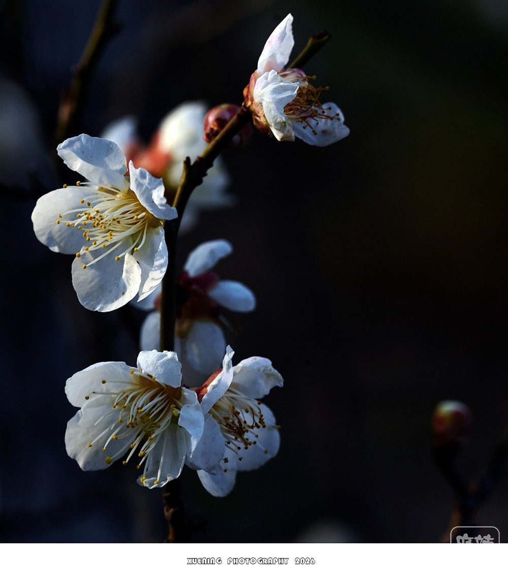 _DSC1850 ����.jpg