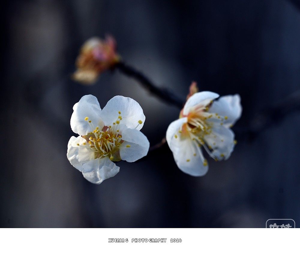 _DSC1851 ����.jpg