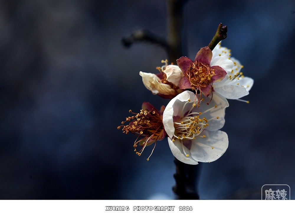 _DSC1835 ����.jpg