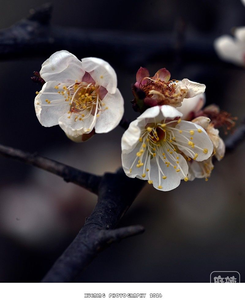 _DSC1823 ����.jpg