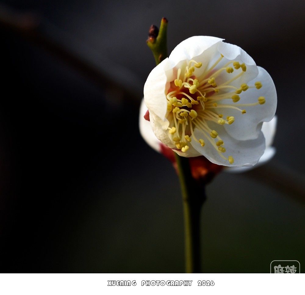 _DSC1885 ����.jpg